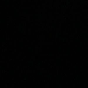 Meet your Posher, Bella